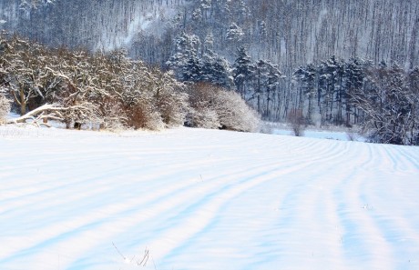 zasněžené Madlánecké lány 11.12.2012