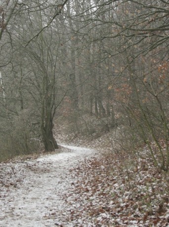cesta pod Střeleckým kopcem v zimě 21.12.2018
