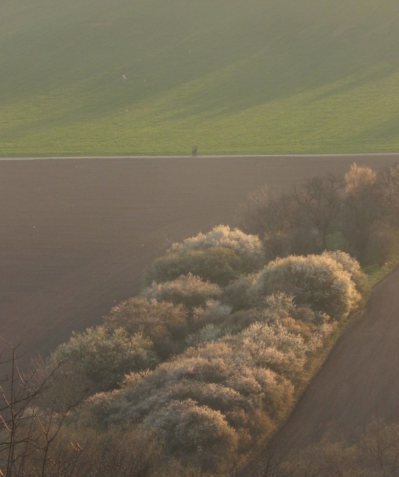 Medlánecké lámy 6.4.2020