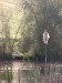 jaro na přehradě 21.5.2016